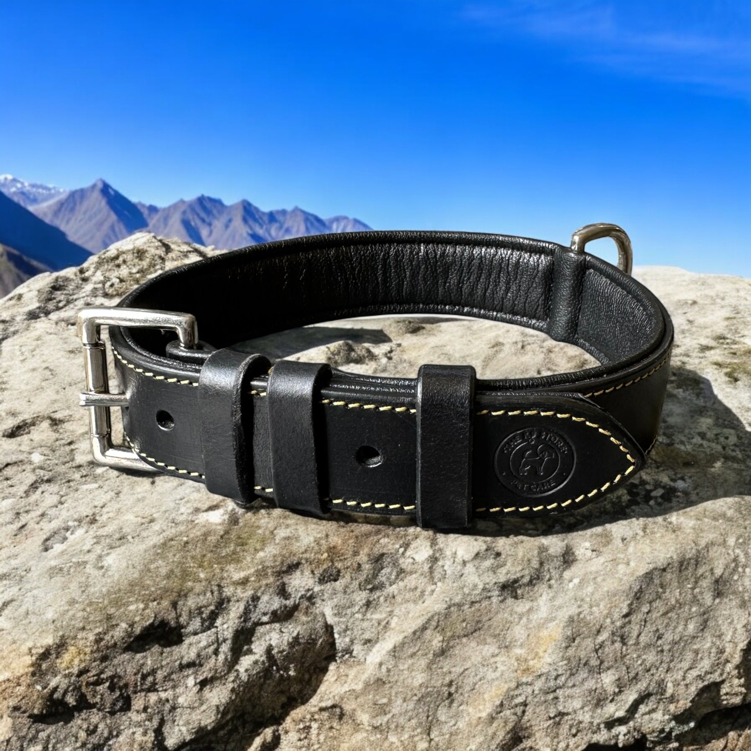 The K9 Store 100% Highgrade Leather Colored Basic Dog Neck Collar (Black)