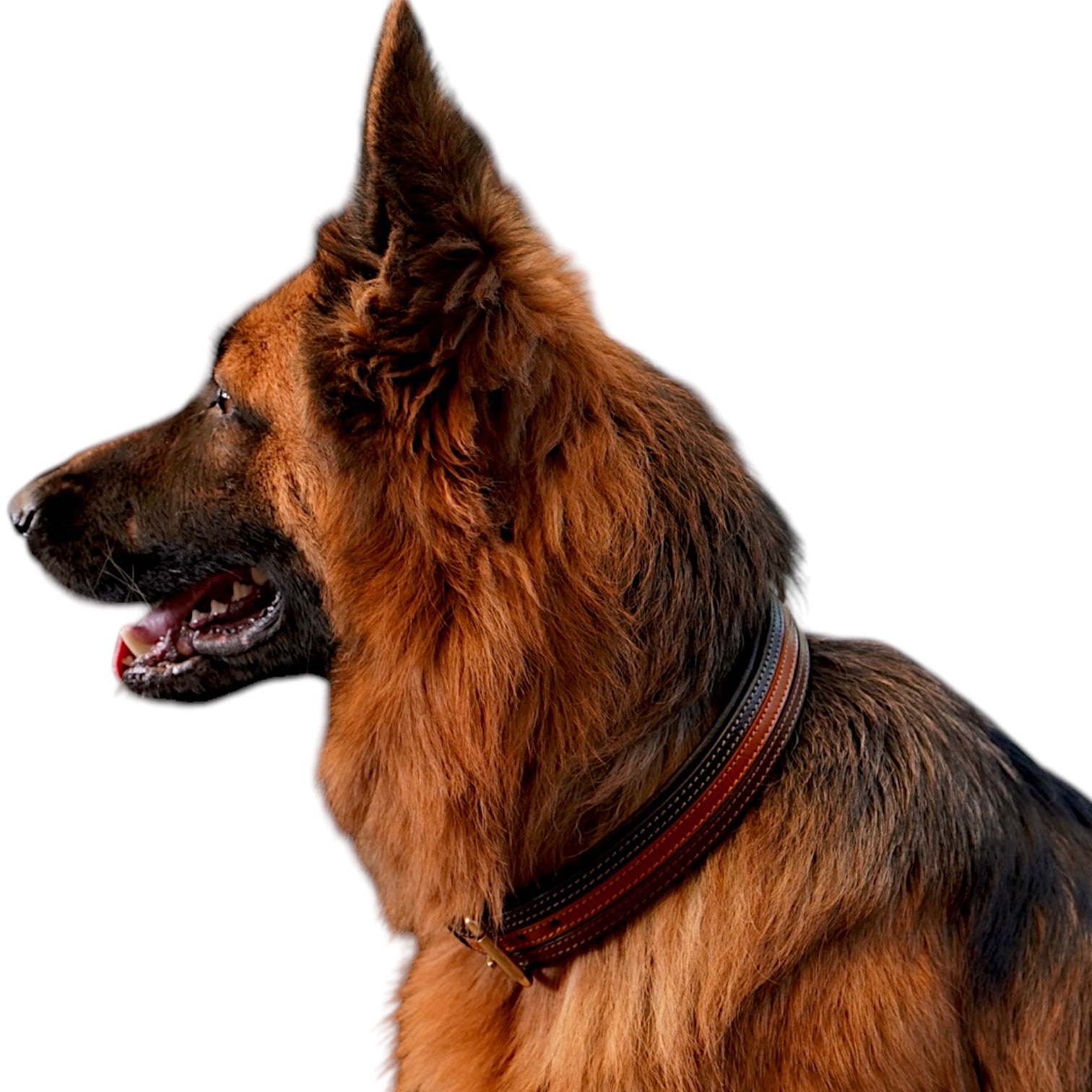 The K9 Store Leather Dog Collar with Leather Leash in Combo Tan & Brown for All Breeds -  Large, Medium, and Giant Breeds in Combo Offer ( Leash with Large & XL Collar )