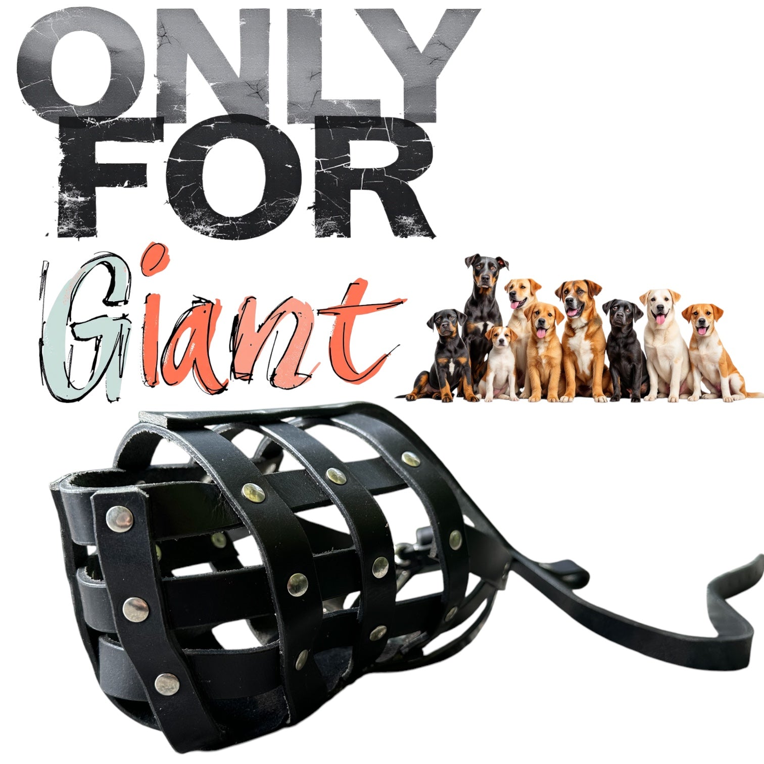 The K9 Store Caged & Studded Leather Dog Muzzle – Highly Breathable, Handcrafted for Large To X Large Breeds, Secure & Ventilated Anti-Bite Design