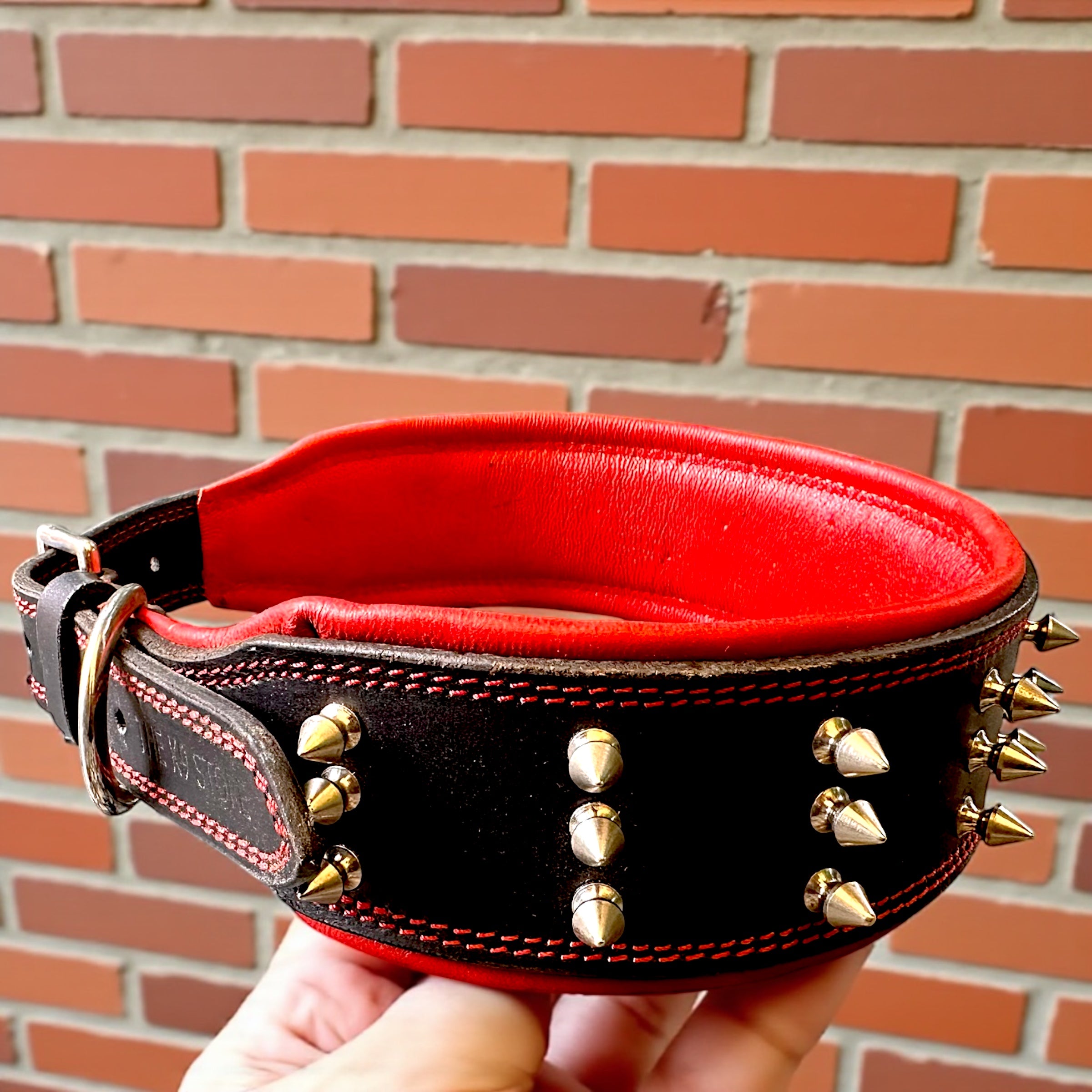 THE K9 STORE Premium Leather Dog Collar with Brass Spikes for Large & XL Dogs | Heavily Padded Cushion | Wide 2.25 Inch Collar for Strong Breeds | Adjustable Neck 18.5–26.5 Inch | Luxury Studded Dog Collar