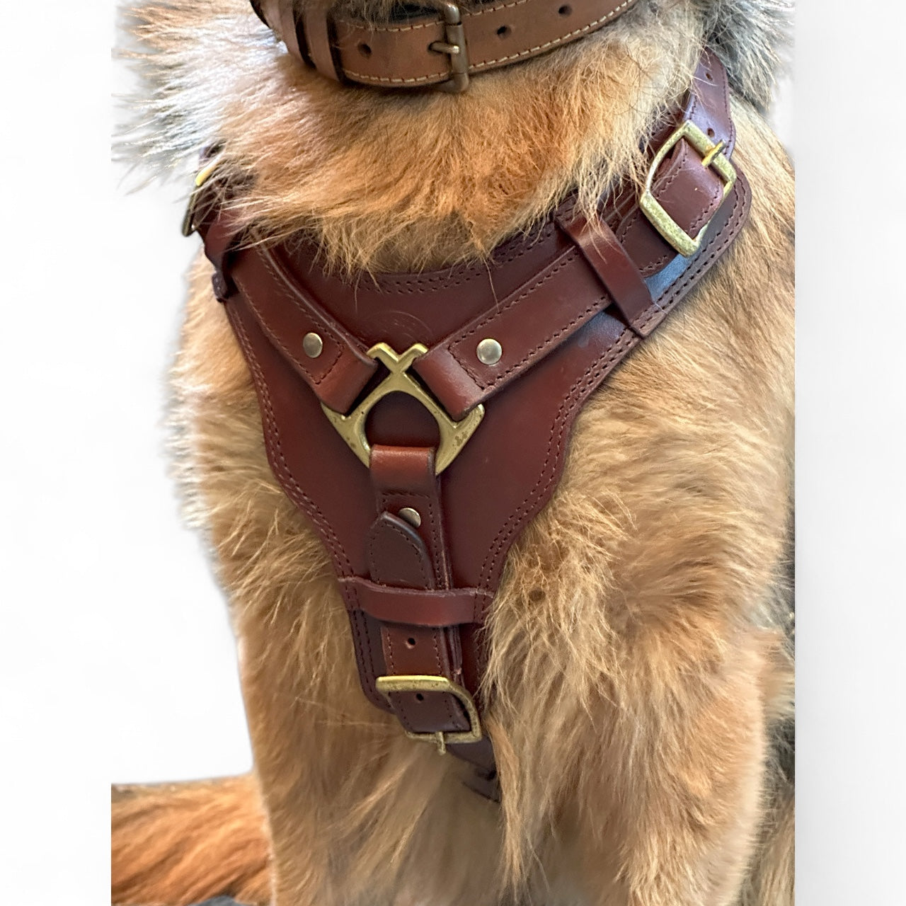 The K9 Store Premium Dog Harness Made In Vegetable Tanned Leather – Handcrafted, Soft Padded, and Durable With Brass Hardware