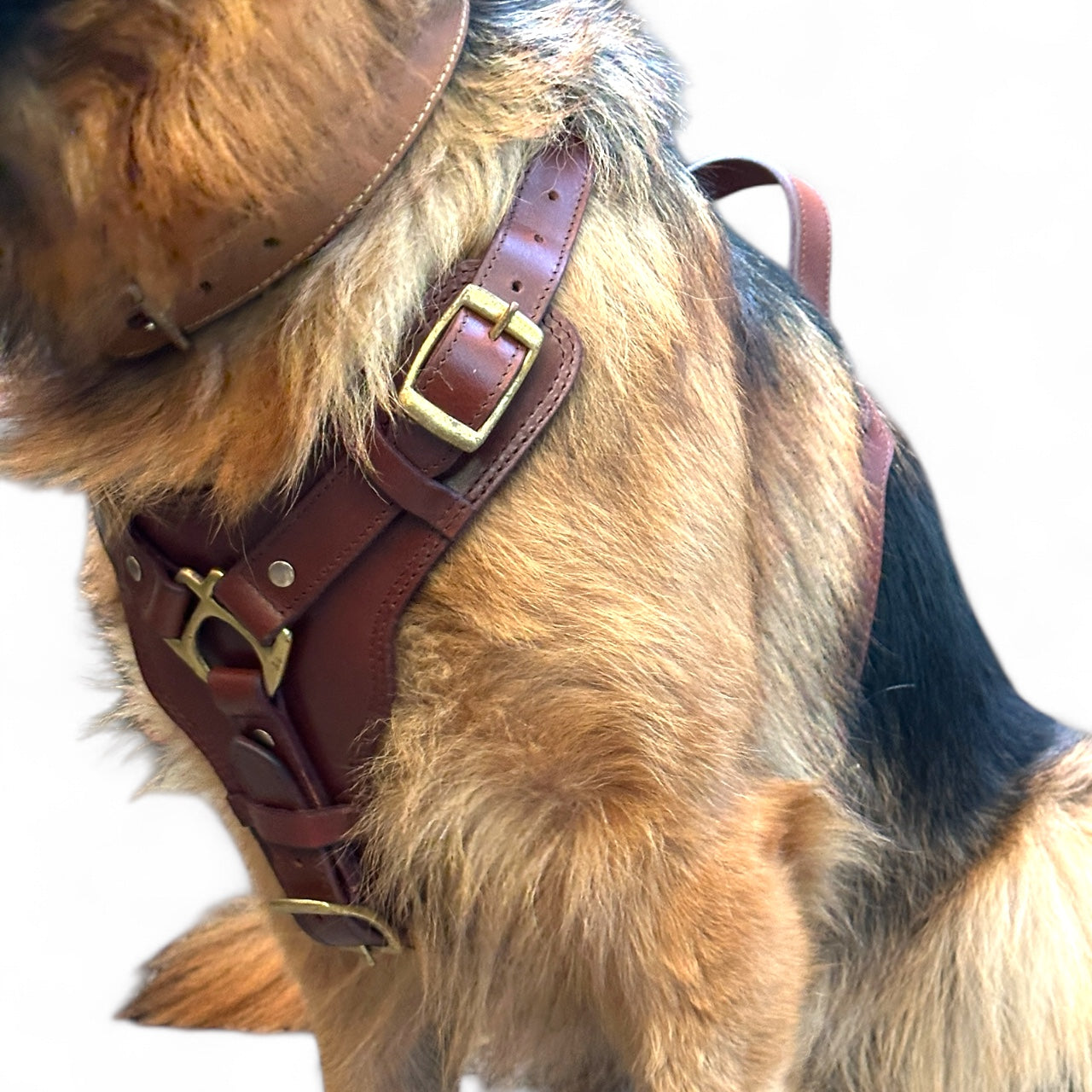 The K9 Store Premium Dog Harness Made In Vegetable Tanned Leather – Handcrafted, Soft Padded, and Durable With Brass Hardware