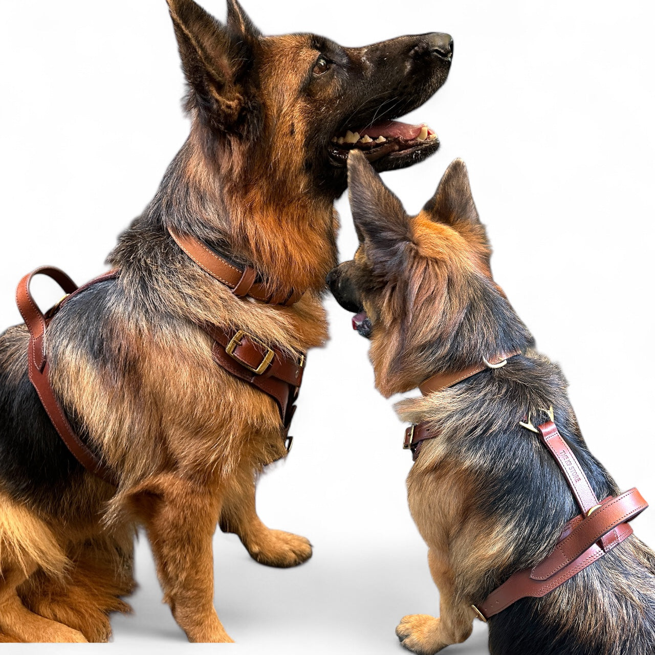 The K9 Store Premium Dog Harness Made In Vegetable Tanned Leather – Handcrafted, Soft Padded, and Durable With Brass Hardware