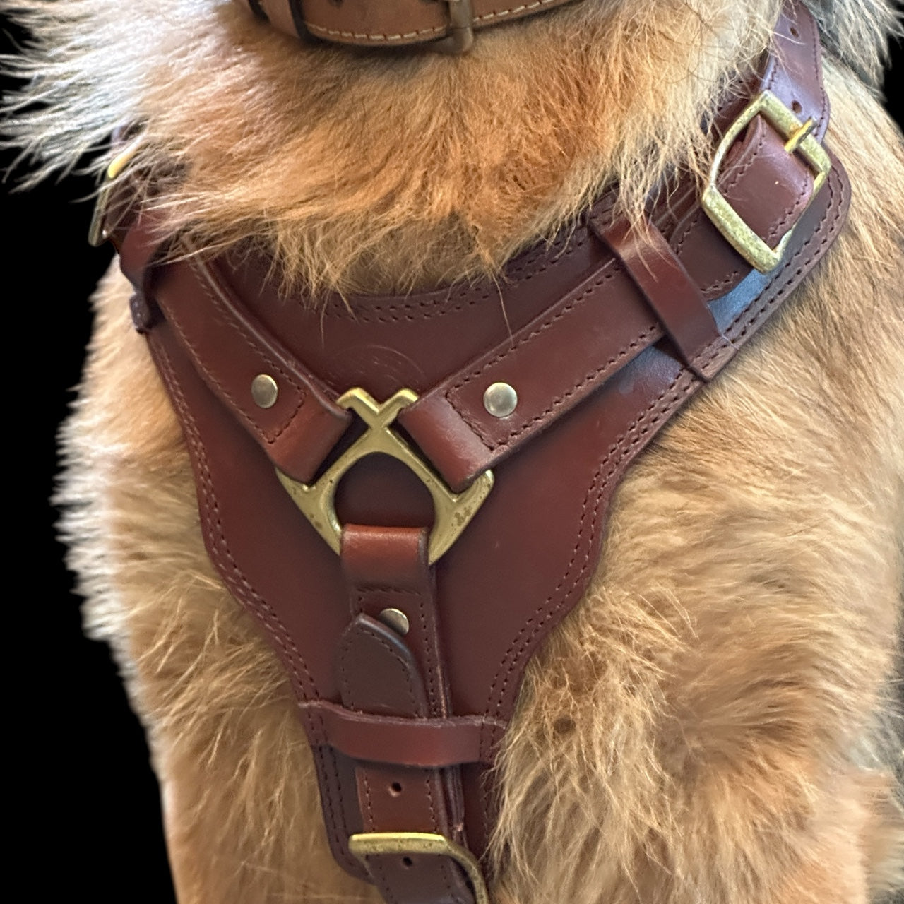 The K9 Store Premium Dog Harness Made In Vegetable Tanned Leather – Handcrafted, Soft Padded, and Durable With Brass Hardware