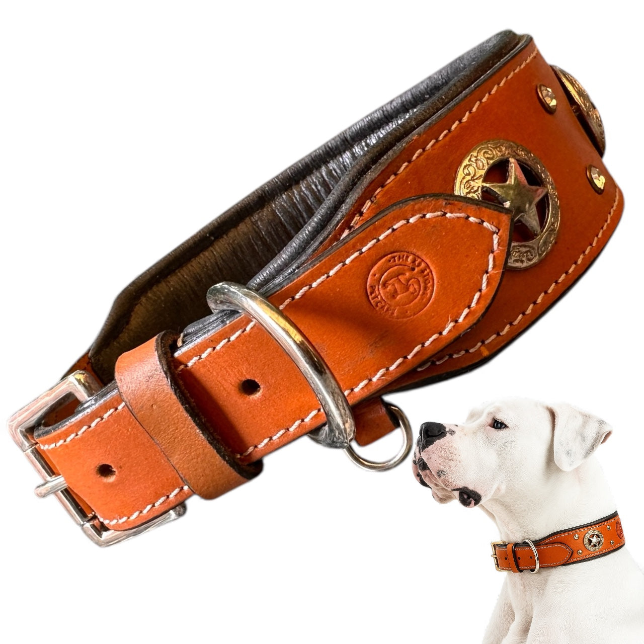 THE K9 STORE Premium Handcrafted Leather Dog Collar with Copper Caps & Padded Cushion – 100% Pure Leather, Brass Hook, Luxury Gift Accessory for Dogs