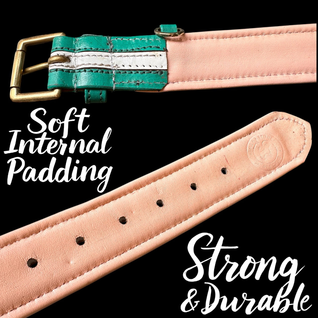 THE K9 STORE Premium Dual-Tone Leather Dog Collars – 4 Sizes (Small, Medium, Large, XL)