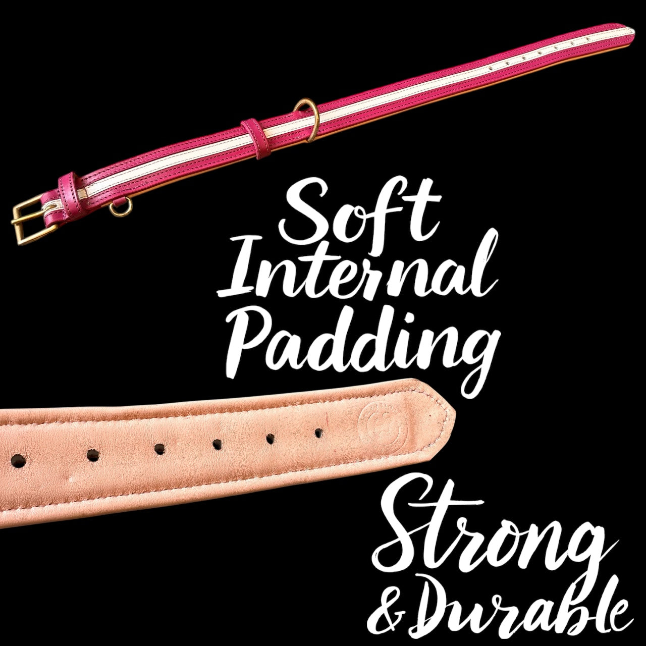 THE K9 STORE Premium Dual-Tone Leather Dog Collars – 4 Sizes (Small, Medium, Large, XL)