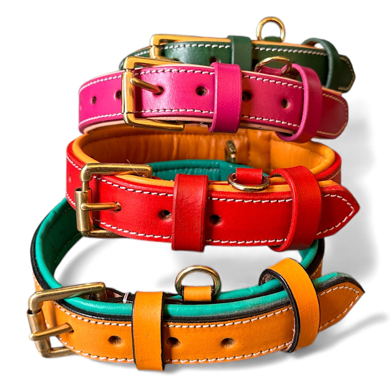 Premium Dual-Tone Padded Leather Dog Collar – Hand-Stitched, Brass Hardware, Ultra-Comfort Cushion – Small to Extra-Large | The K9 Store