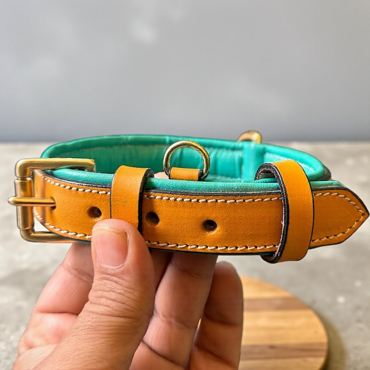 Premium Dual-Tone Padded Leather Dog Collar – Hand-Stitched, Brass Hardware, Ultra-Comfort Cushion – Small to Extra-Large | The K9 Store