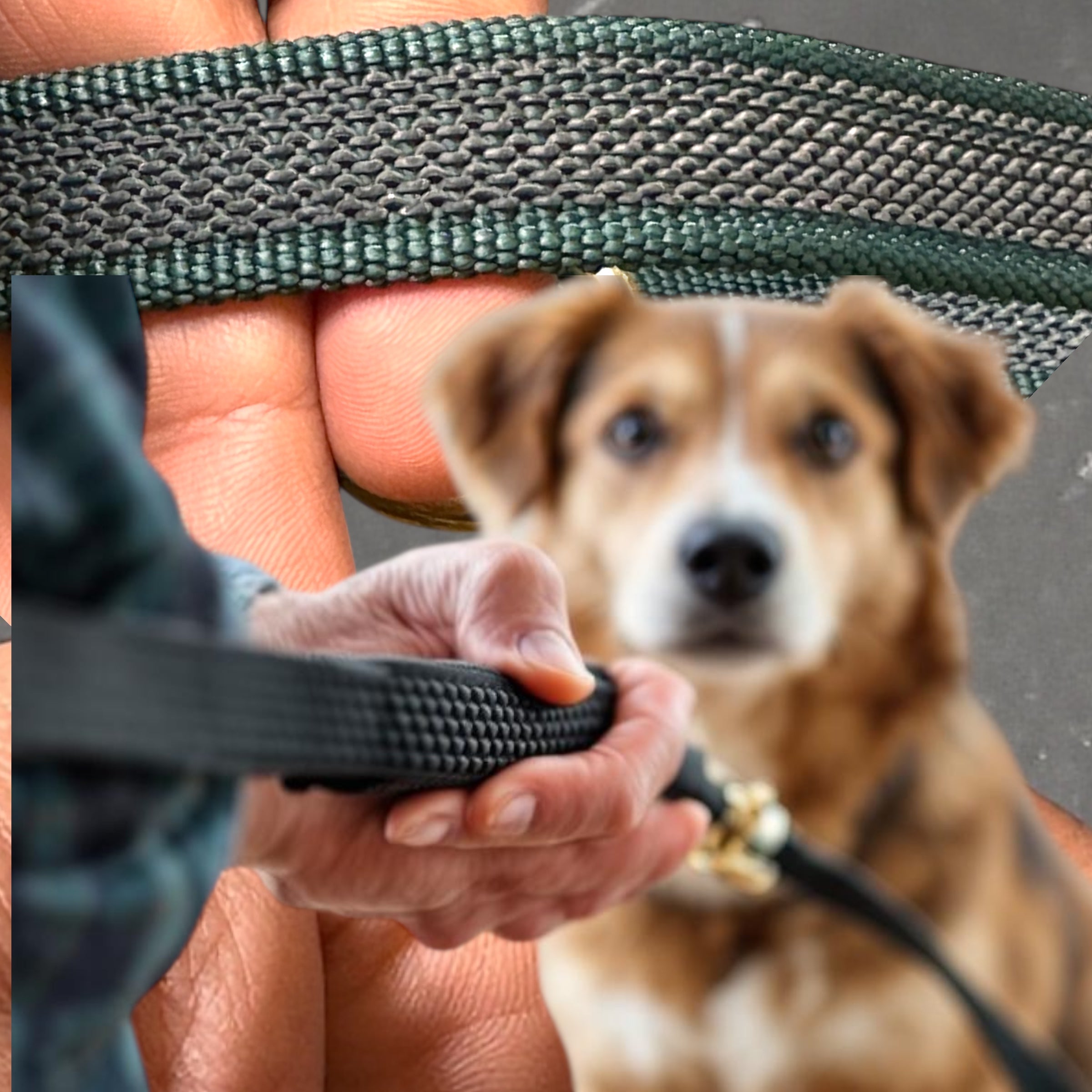 The K9 Store Anti-Slippery Dog Training Leash, Belt for Dogs Walk - World Class Trainers Choice Dog Leash in 5, 10, 15 & 20 Feet Length- Long Leash for Dogs, Dog Leash in 5 Color