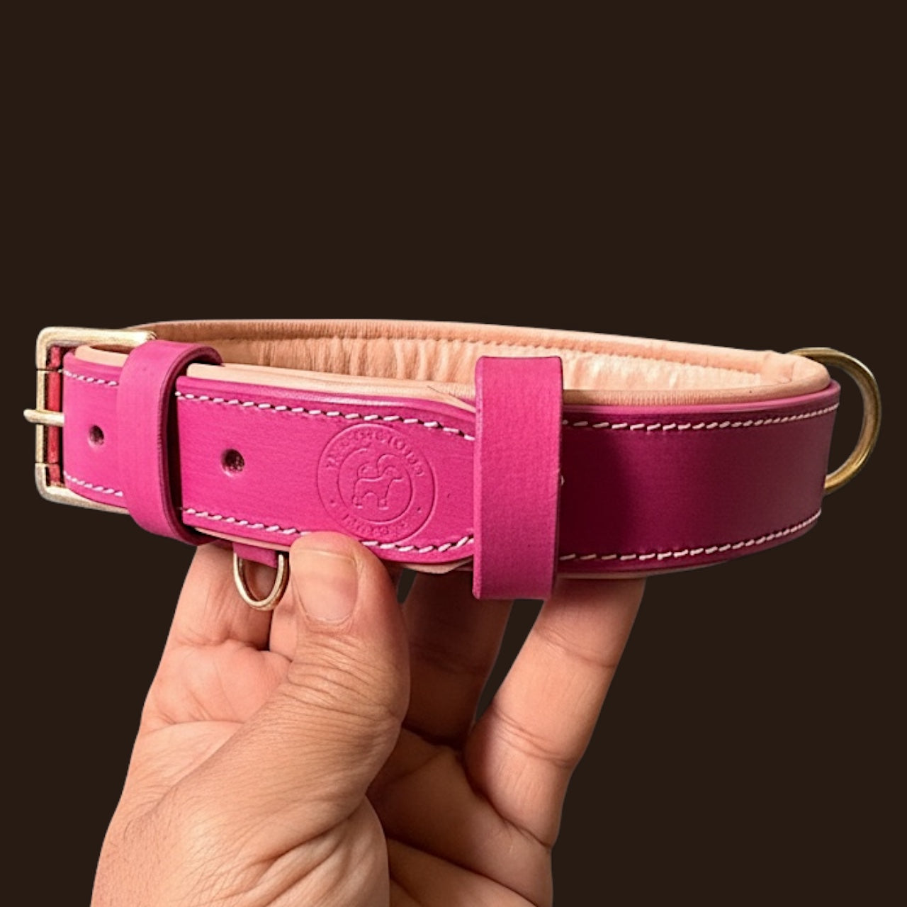 Premium Dual-Tone Padded Leather Dog Collar – Hand-Stitched, Brass Hardware, Ultra-Comfort Cushion – Small to Extra-Large | The K9 Store