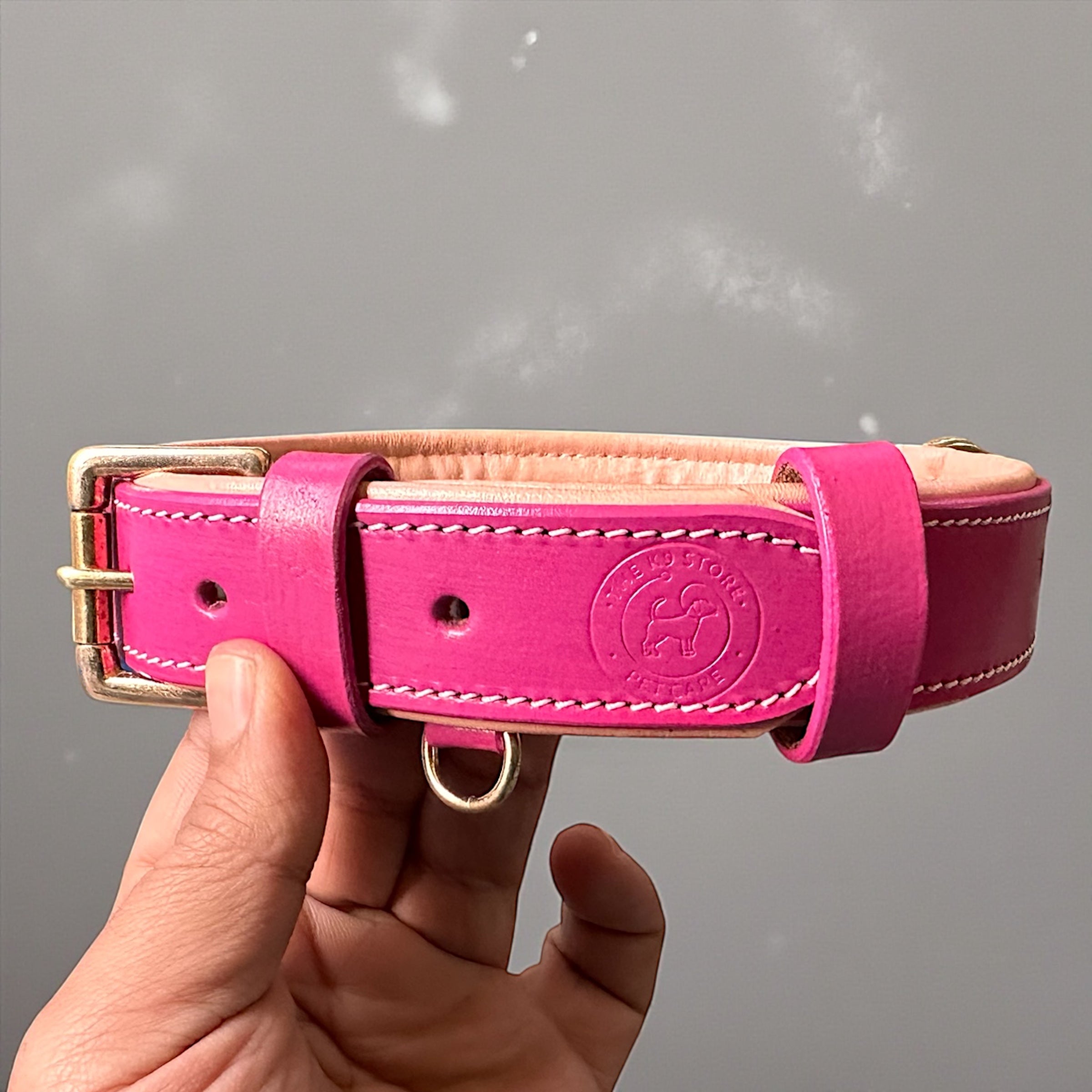 Premium Dual-Tone Padded Leather Dog Collar – Hand-Stitched, Brass Hardware, Ultra-Comfort Cushion – Small to Extra-Large | The K9 Store