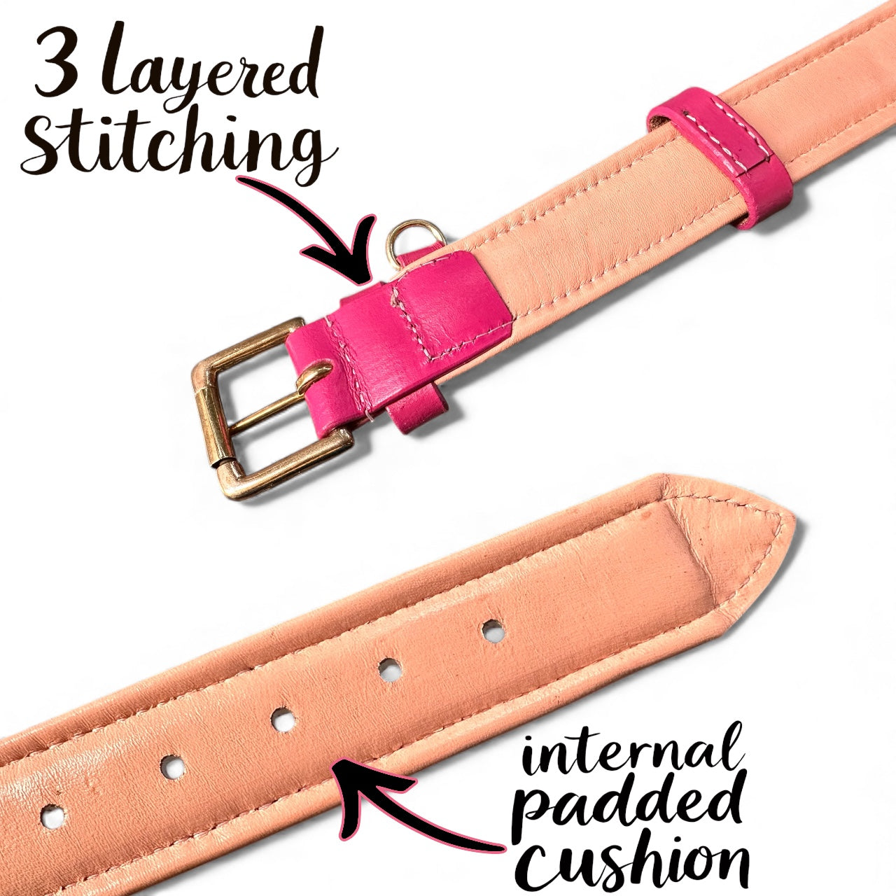 Premium Dual-Tone Padded Leather Dog Collar – Hand-Stitched, Brass Hardware, Ultra-Comfort Cushion – Small to Extra-Large | The K9 Store