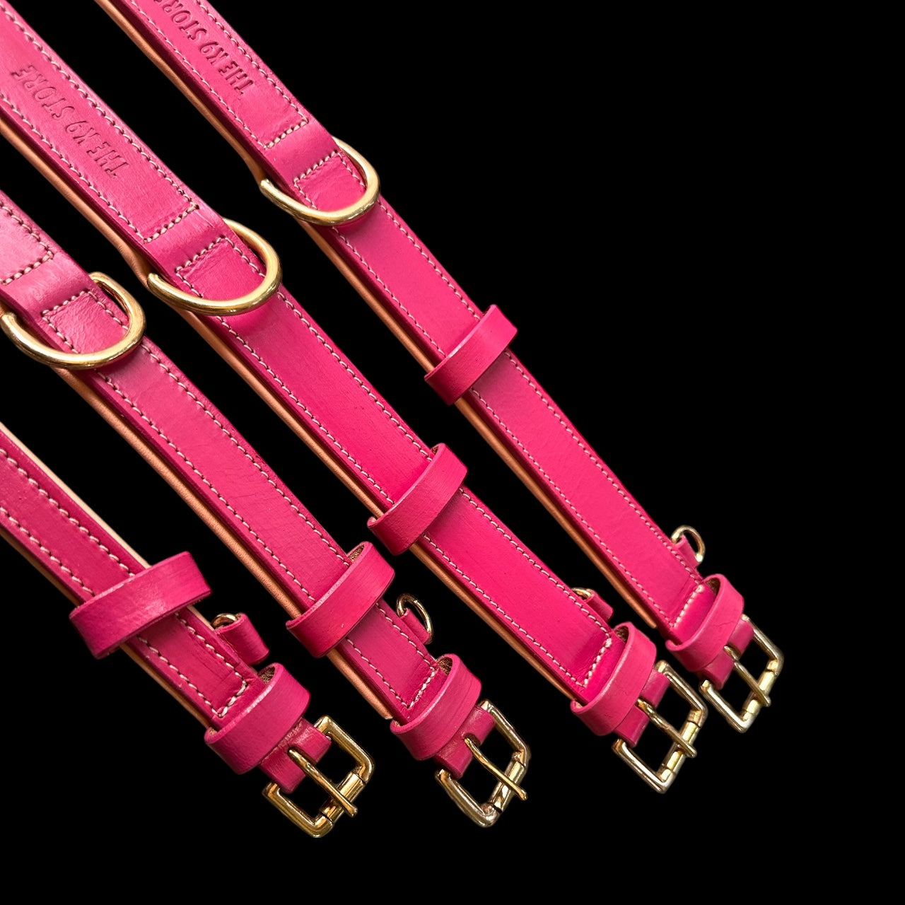 Premium Dual-Tone Padded Leather Dog Collar – Hand-Stitched, Brass Hardware, Ultra-Comfort Cushion – Small to Extra-Large | The K9 Store