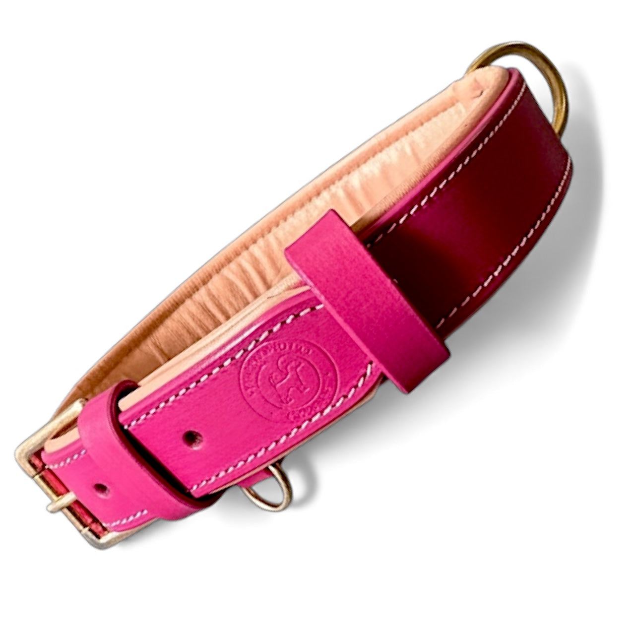 Premium Dual-Tone Padded Leather Dog Collar – Hand-Stitched, Brass Hardware, Ultra-Comfort Cushion – Small to Extra-Large | The K9 Store