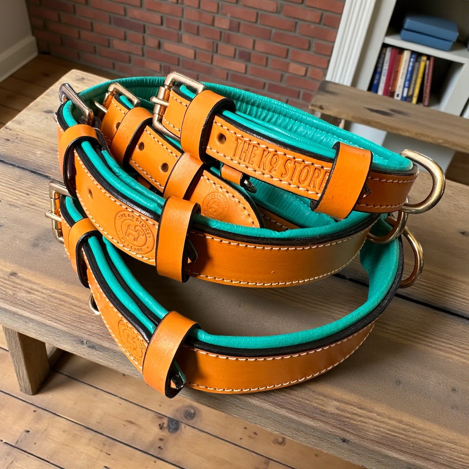 Premium Dual-Tone Padded Leather Dog Collar – Hand-Stitched, Brass Hardware, Ultra-Comfort Cushion – Small to Extra-Large | The K9 Store