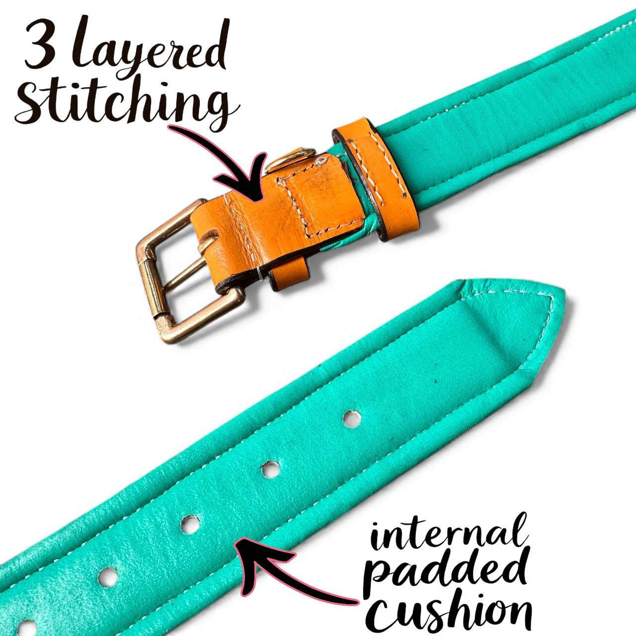 Premium Dual-Tone Padded Leather Dog Collar – Hand-Stitched, Brass Hardware, Ultra-Comfort Cushion – Small to Extra-Large | The K9 Store