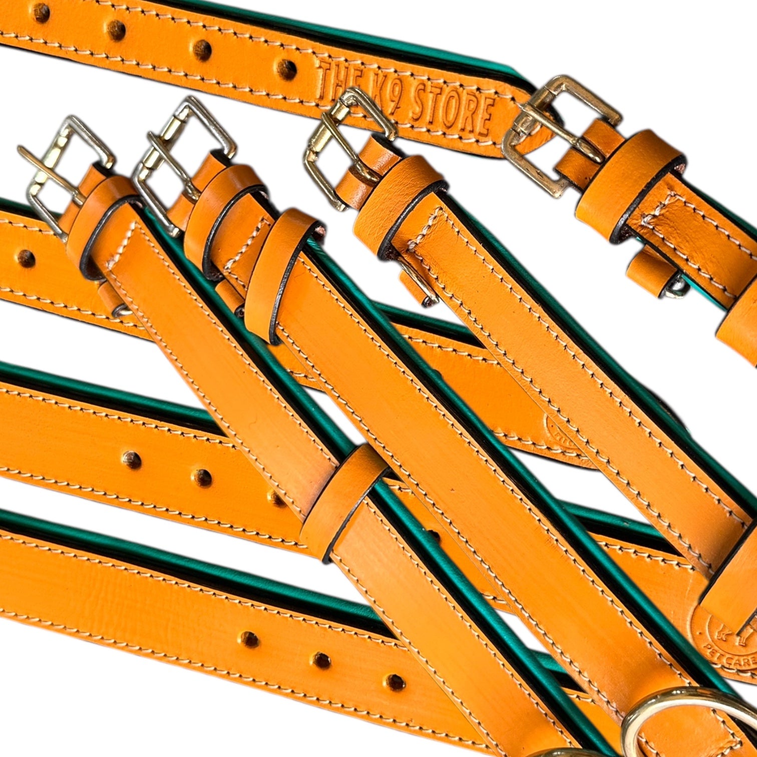 Premium Dual-Tone Padded Leather Dog Collar – Hand-Stitched, Brass Hardware, Ultra-Comfort Cushion – Small to Extra-Large | The K9 Store