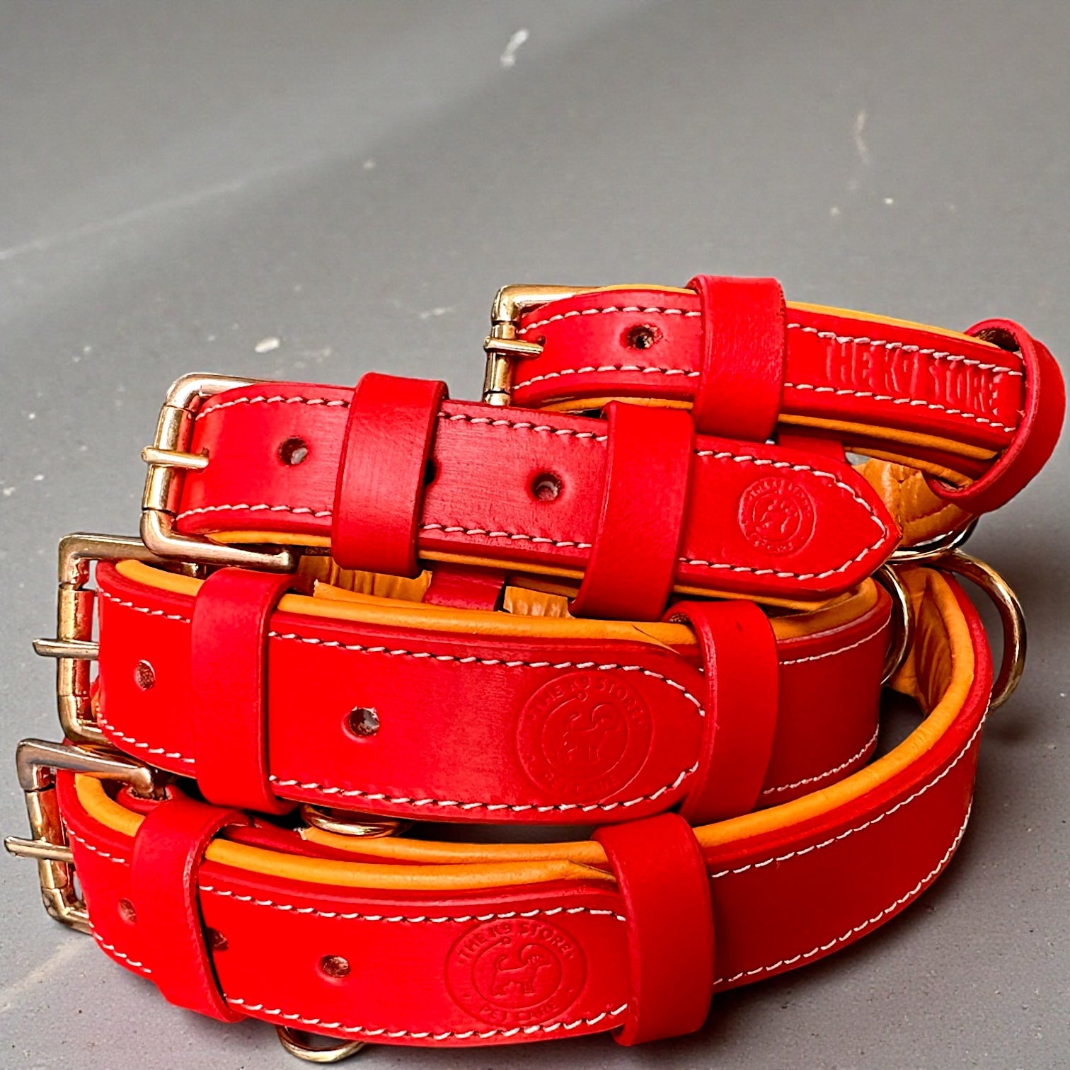 Premium Dual-Tone Padded Leather Dog Collar – Hand-Stitched, Brass Hardware, Ultra-Comfort Cushion – Small to Extra-Large | The K9 Store