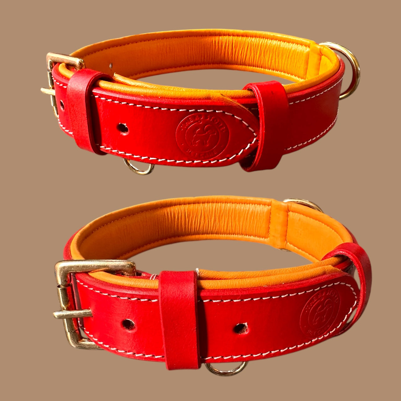 Premium Dual-Tone Padded Leather Dog Collar – Hand-Stitched, Brass Hardware, Ultra-Comfort Cushion – Small to Extra-Large | The K9 Store