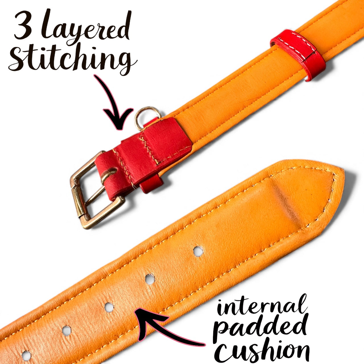 Premium Dual-Tone Padded Leather Dog Collar – Hand-Stitched, Brass Hardware, Ultra-Comfort Cushion – Small to Extra-Large | The K9 Store