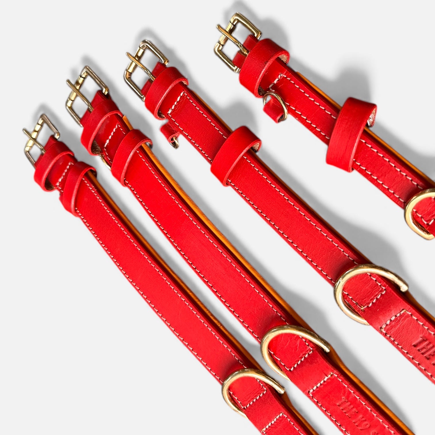 Premium Dual-Tone Padded Leather Dog Collar – Hand-Stitched, Brass Hardware, Ultra-Comfort Cushion – Small to Extra-Large | The K9 Store