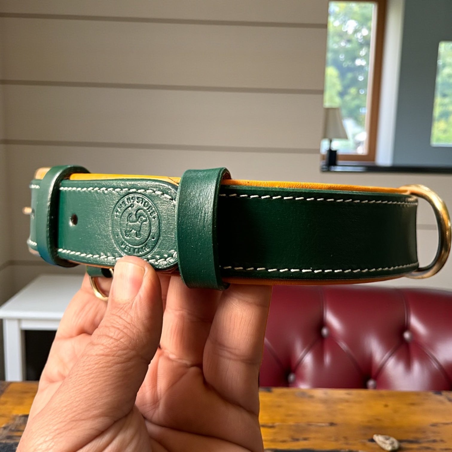 Premium Dual-Tone Padded Leather Dog Collar – Hand-Stitched, Brass Hardware, Ultra-Comfort Cushion – Small to Extra-Large | The K9 Store