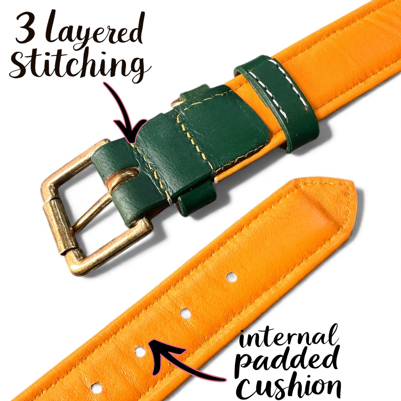Premium Dual-Tone Padded Leather Dog Collar – Hand-Stitched, Brass Hardware, Ultra-Comfort Cushion – Small to Extra-Large | The K9 Store