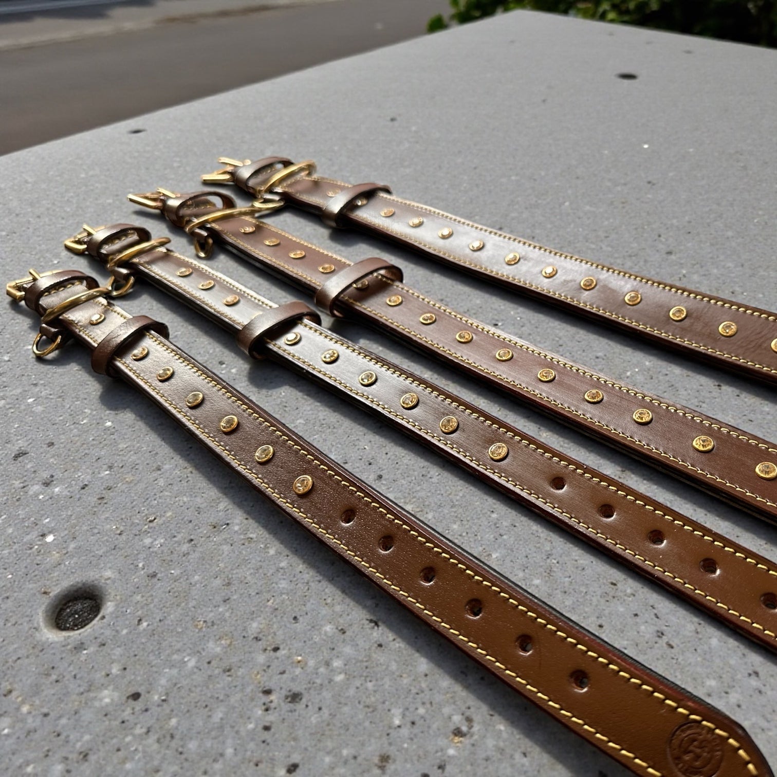 Premium Handstitched Dual Shade Leather Dog Collar with Brass Hardware and Studs | THE K9 STORE