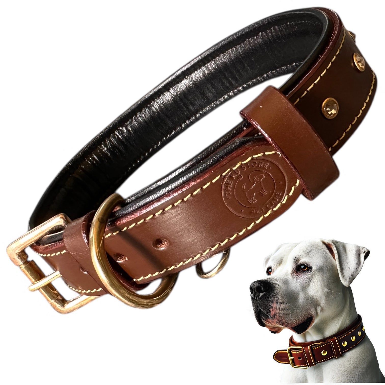 Premium Handstitched Dual Shade Leather Dog Collar with Brass Hardware and Studs | THE K9 STORE