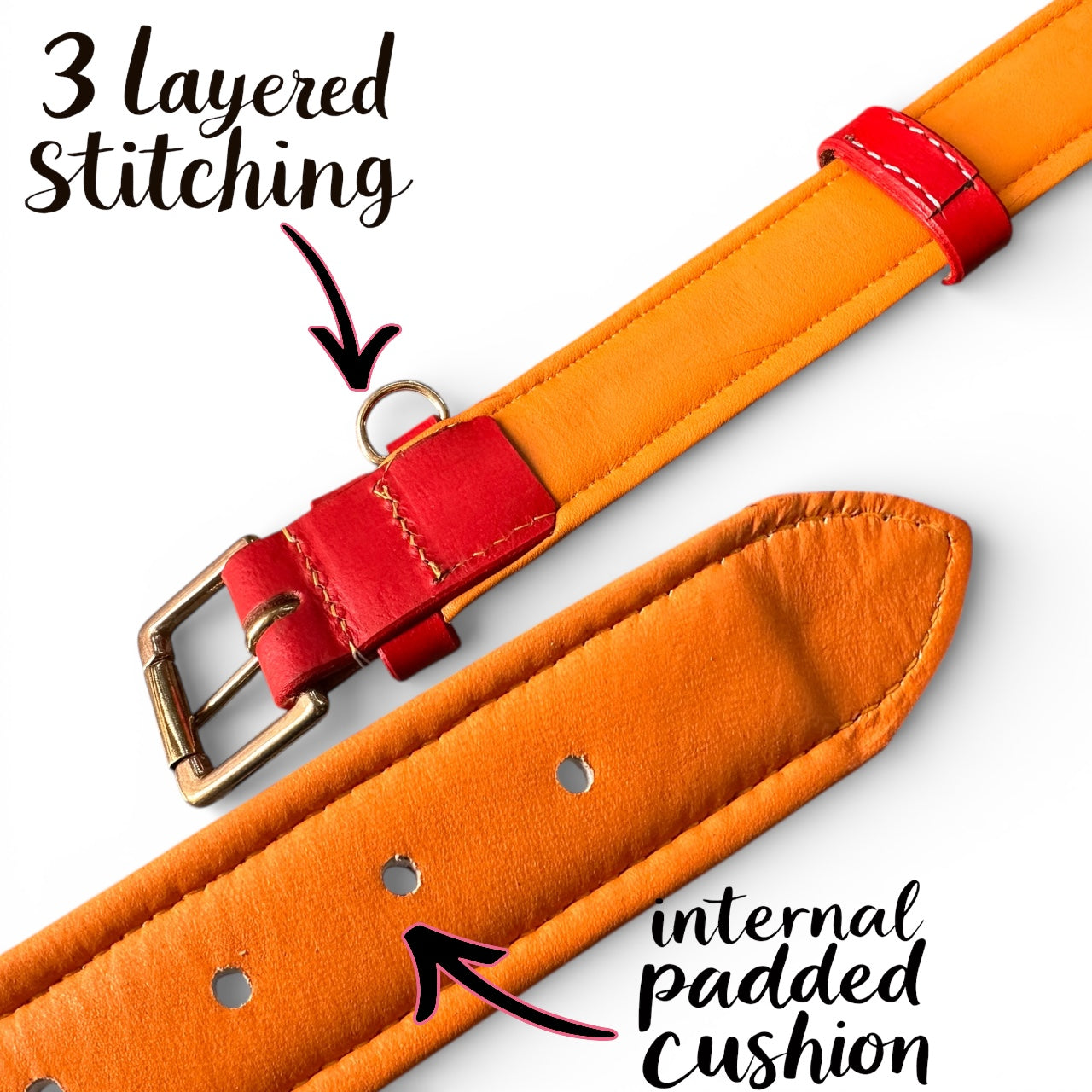 Premium Handstitched Dual Shade Leather Dog Collar with Brass Hardware and Studs | THE K9 STORE