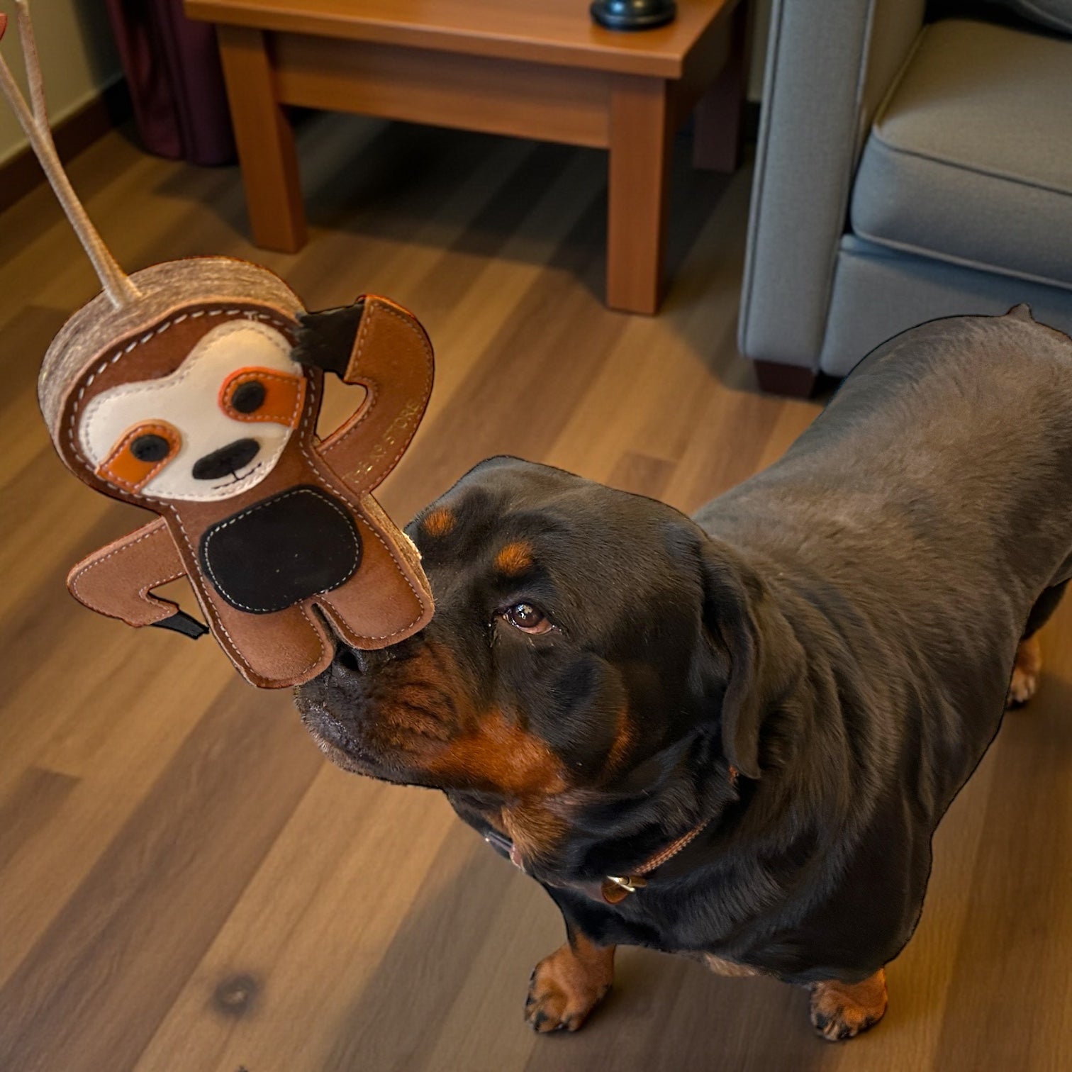 TUFF TOYS Leather Sloth Chew Toy for Dogs | Heavy-Duty Natural Leather & Wool Dental Toy with Cotton Rope | Durable Chew Toy for Medium Dogs by THE K9 STORE