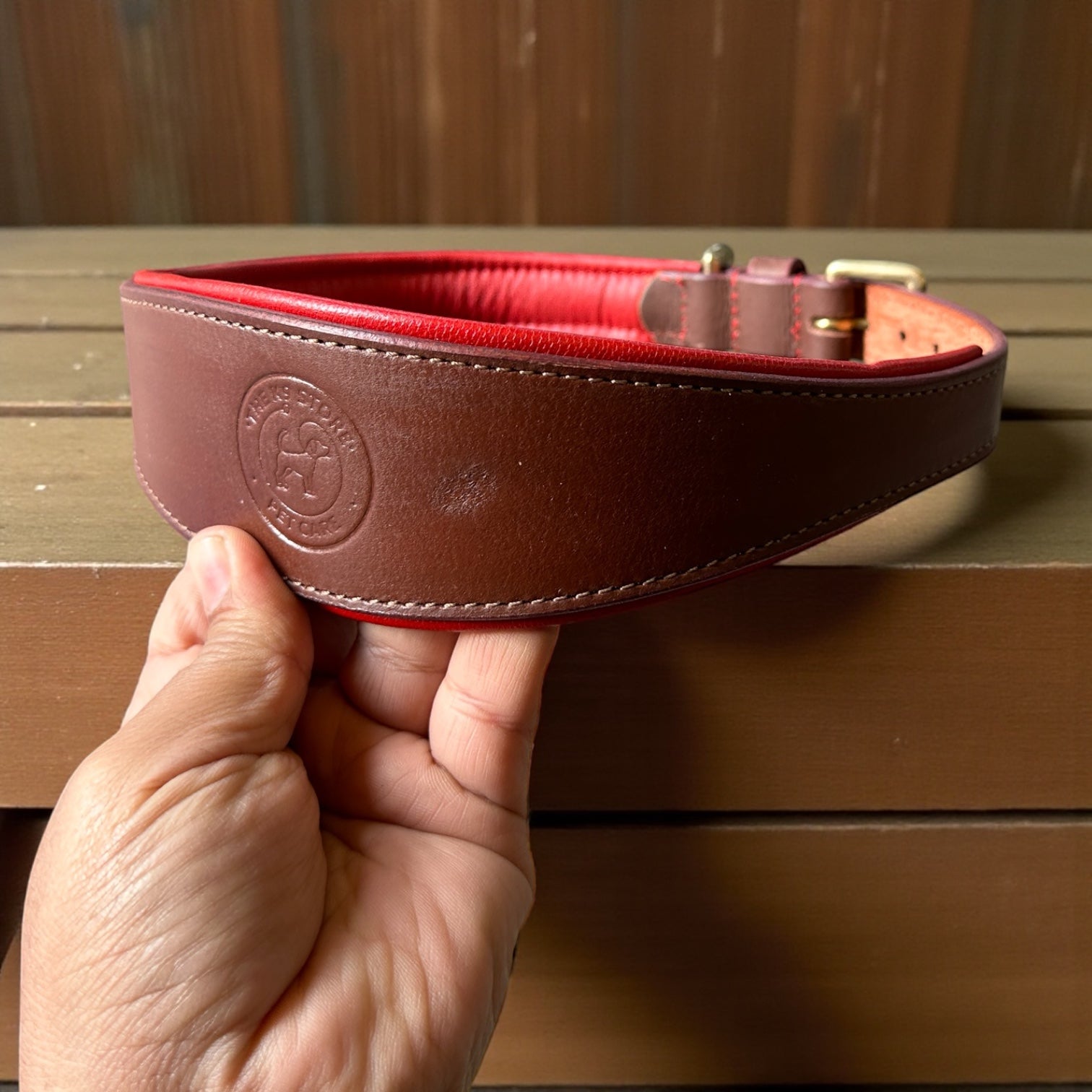 Premium Genuine Leather Dog Collar with Cushion Padding | Heavy-Duty Brass Hardware | Large & X-Large | The K9 Store – Hound Collection