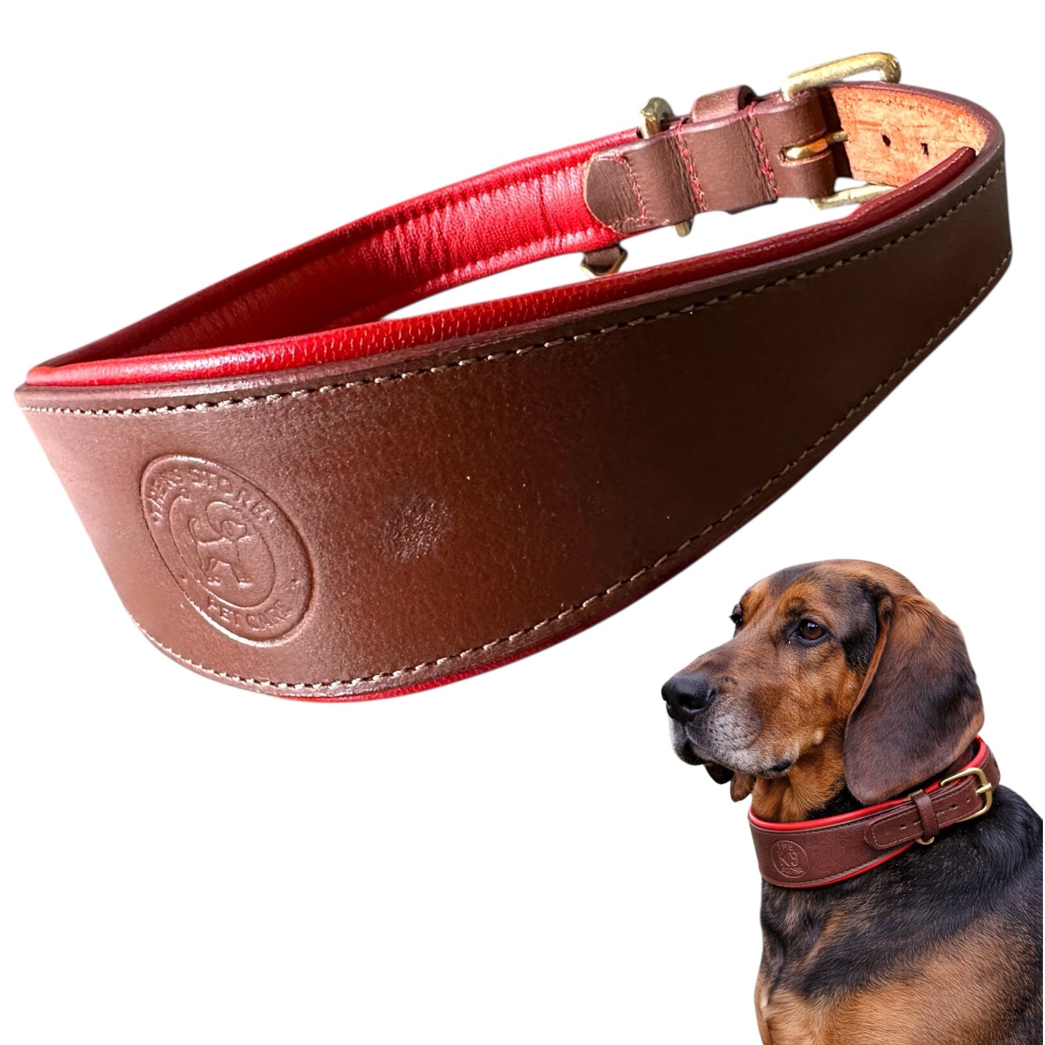 Premium Genuine Leather Dog Collar with Cushion Padding | Heavy-Duty Brass Hardware | Large & X-Large | The K9 Store – Hound Collection