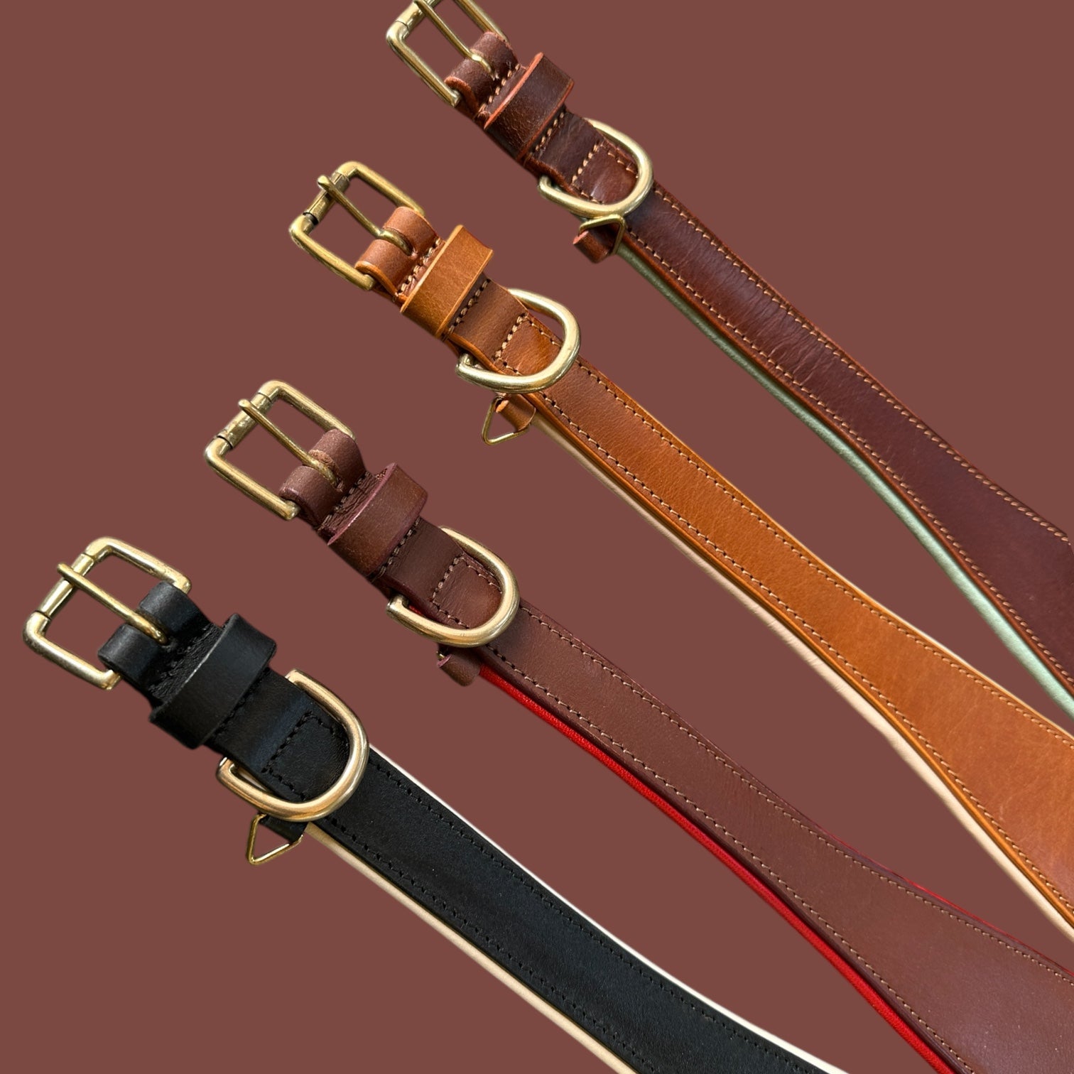 Premium Genuine Leather Dog Collar with Cushion Padding | Heavy-Duty Brass Hardware | Large & X-Large | The K9 Store – Hound Collection