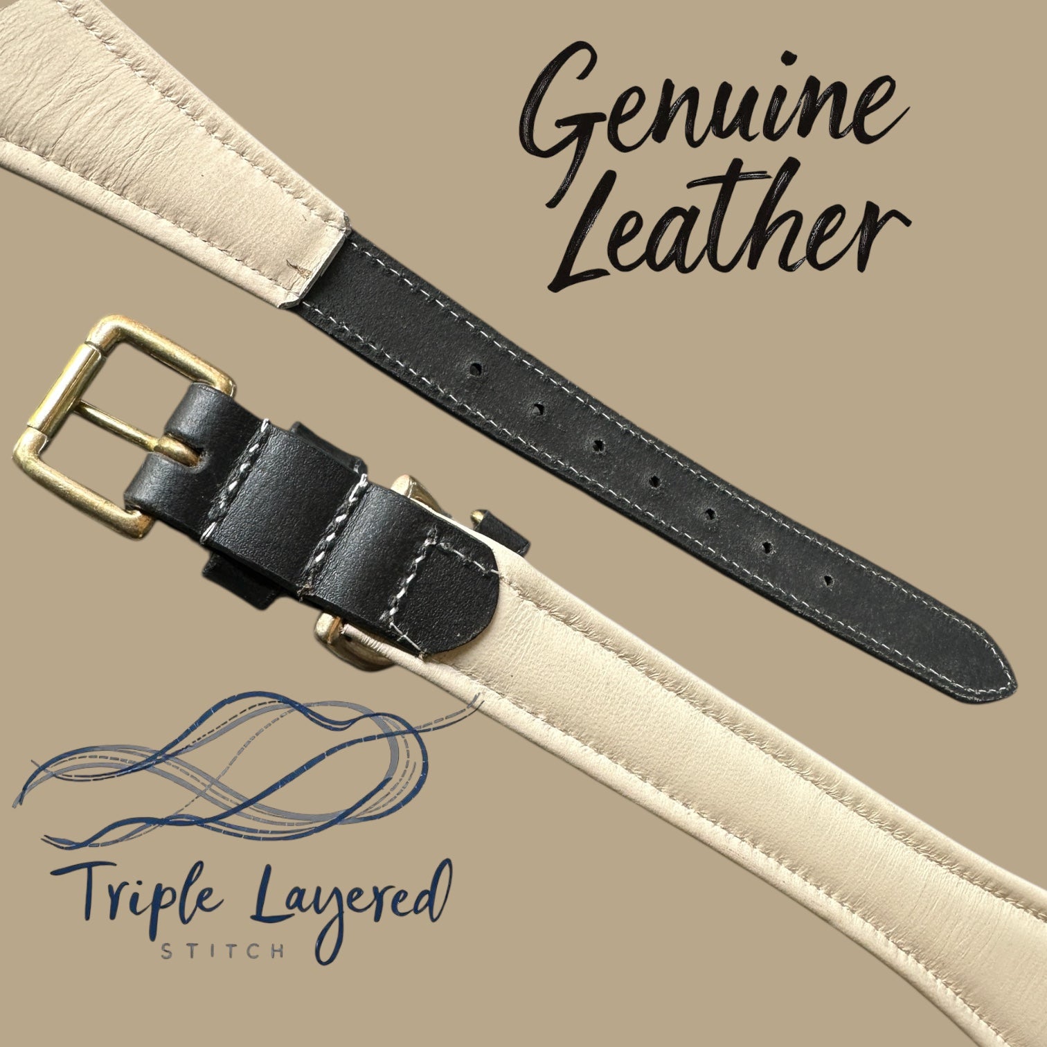 Premium Genuine Leather Dog Collar with Cushion Padding | Heavy-Duty Brass Hardware | Large & X-Large | The K9 Store – Hound Collection