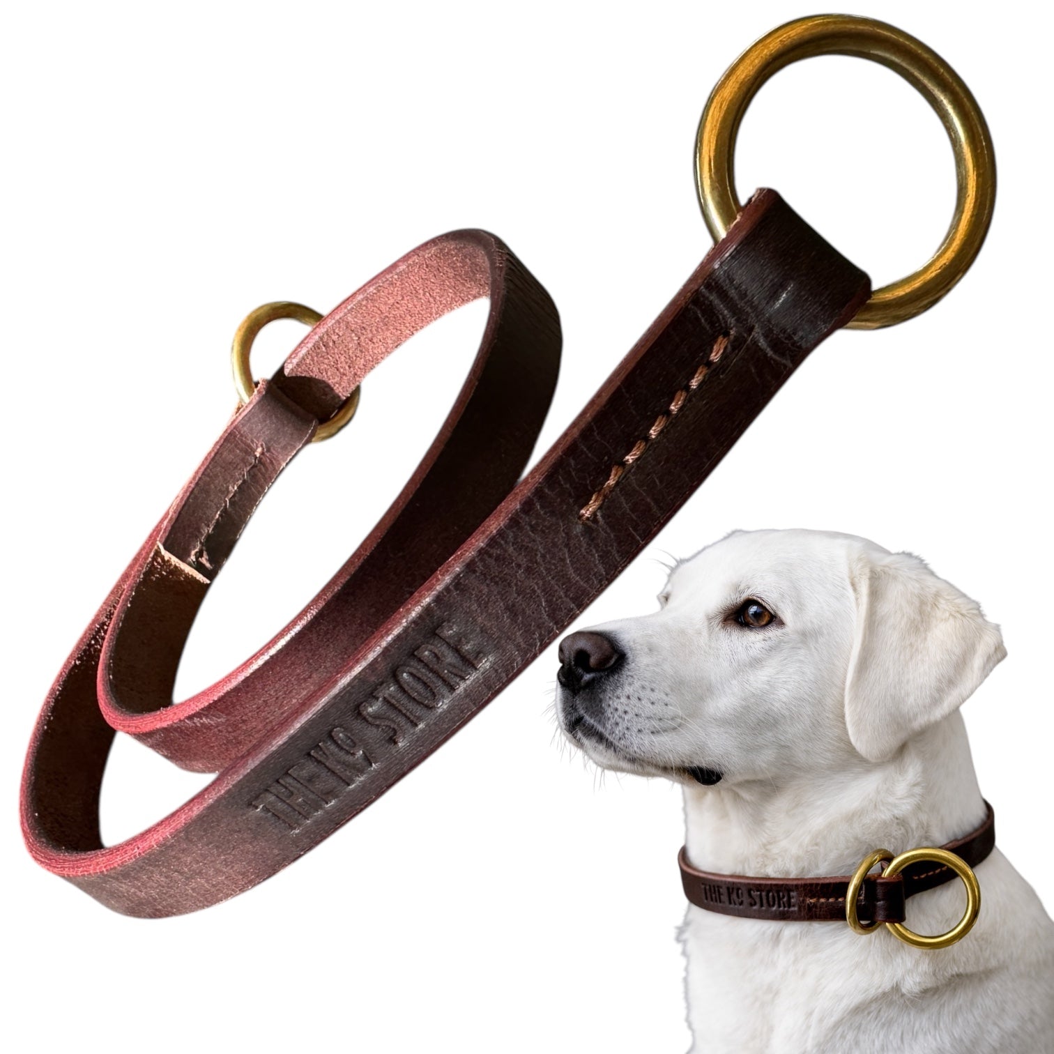 Premium Leather Choke Collar for Dogs | Heavy-Duty Training Collar | THE K9 STORE