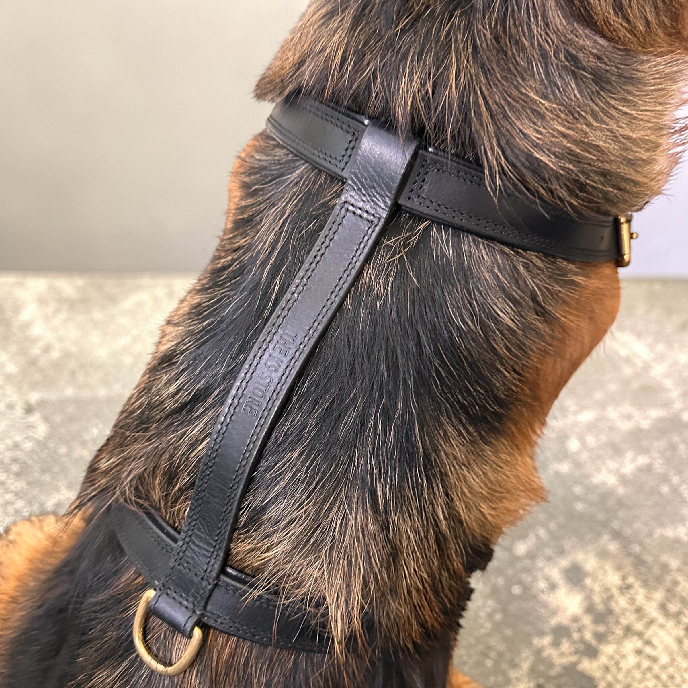 Premium Genuine Leather Dog Harness for Dogs – Adjustable Padded Leather Harness with Solid Brass Hardware