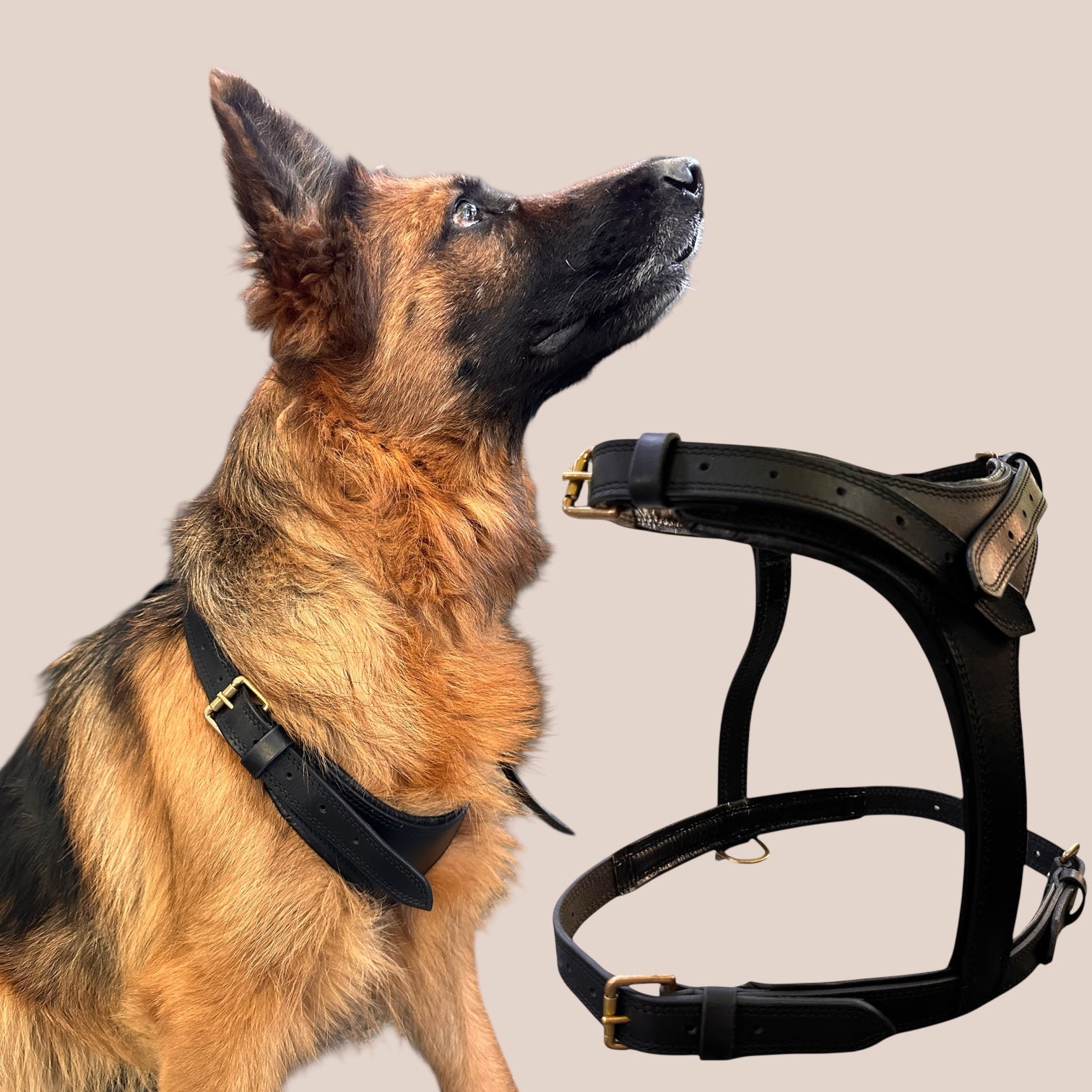 Premium Genuine Leather Dog Harness for Dogs – Adjustable Padded Leather Harness with Solid Brass Hardware