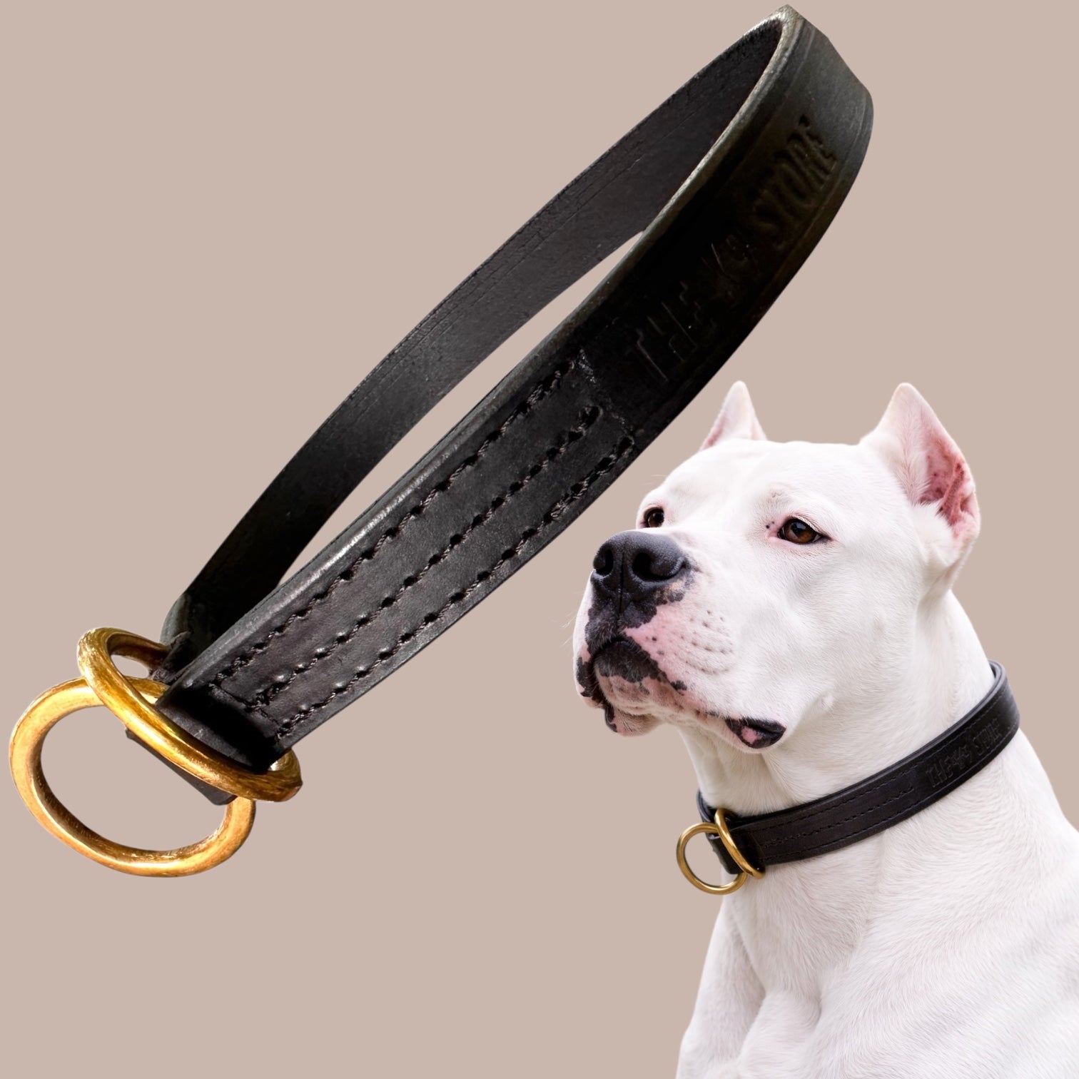 Premium Black Leather Dog Choke Collar – Solid Brass Rings, Triple-Layer Stitched Training Collar for Dogs | Durable Control Collar | Small, Medium, Large & XL