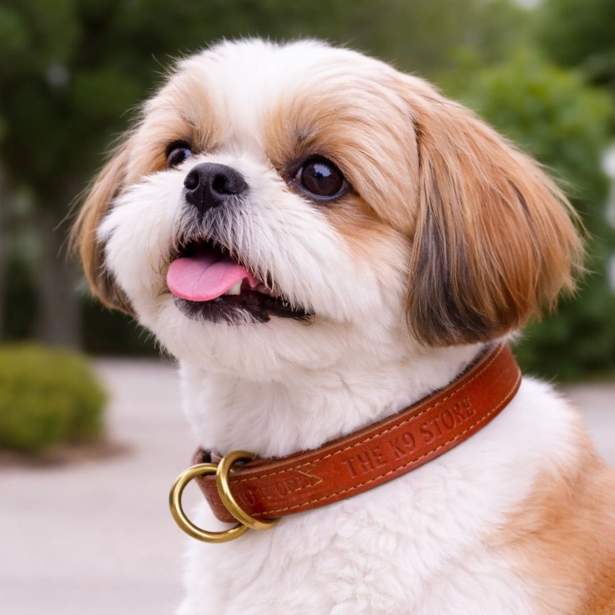 Premium Tan Leather Dog Choke Collar – Solid Brass Rings, Triple-Layer Stitched Training Collar | Durable Leather Control Collar for Dogs | Small, Medium, Large & XL