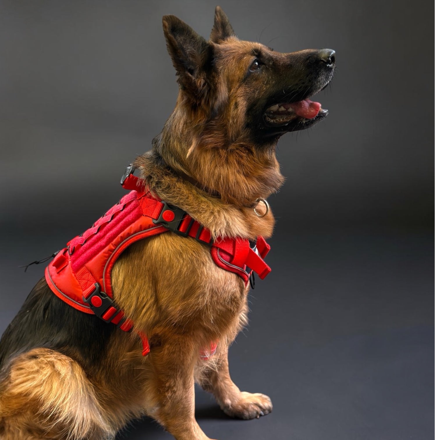 K9 Store Tactical Dog Harness – Heavy Duty No-Pull Adjustable Pet Vest with Handle & Dual Leash Clips
