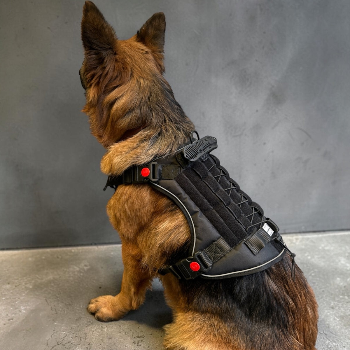 K9 Tactical Dog Harness Heavy Duty Adjustable – No Pull Military Style Pet Harness with Handle, MOLLE System & Reflective Straps (S, M, L, XL)