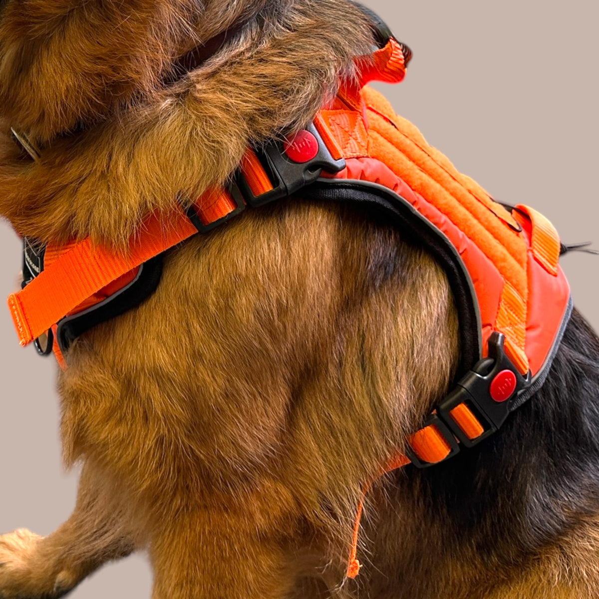 Orange Tactical Dog Harness No Pull | Heavy Duty Adjustable K9 Vest with Handle, Reflective Military Pet Harness for Medium & Large Dogs