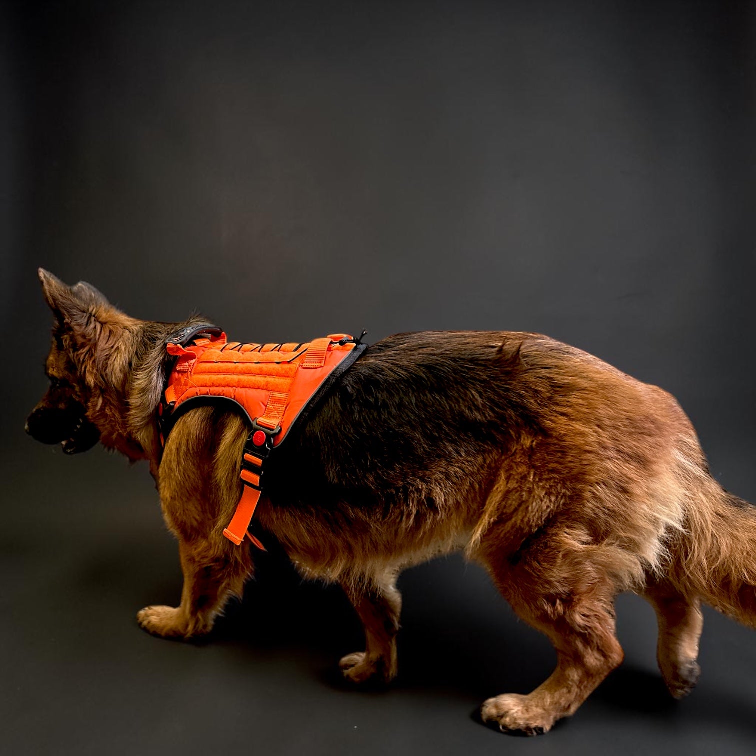 Orange Tactical Dog Harness No Pull | Heavy Duty Adjustable K9 Vest with Handle, Reflective Military Pet Harness for Medium & Large Dogs