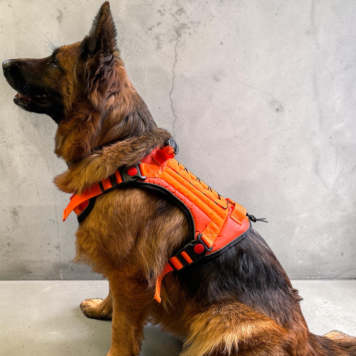 Orange Tactical Dog Harness No Pull | Heavy Duty Adjustable K9 Vest with Handle, Reflective Military Pet Harness for Medium & Large Dogs