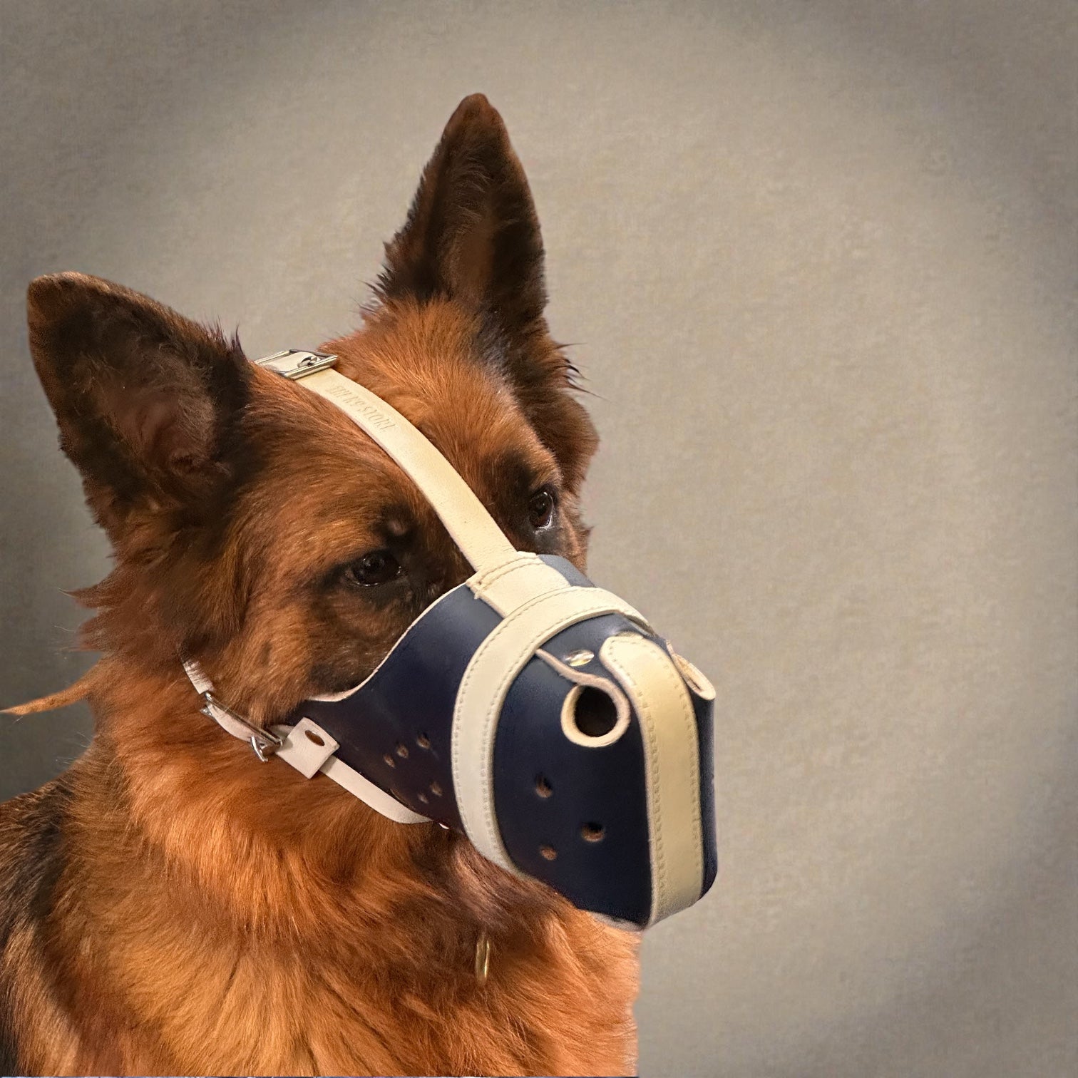 K9 Store Premium Navy Blue Leather Dog Muzzle with Adjustable Straps