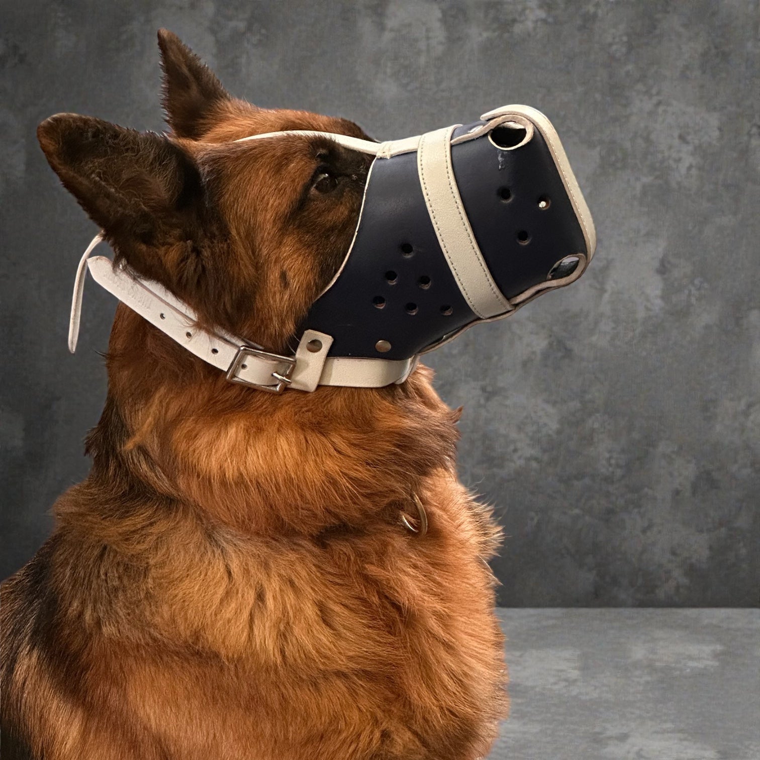 K9 Store Premium Navy Blue Leather Dog Muzzle with Adjustable Straps