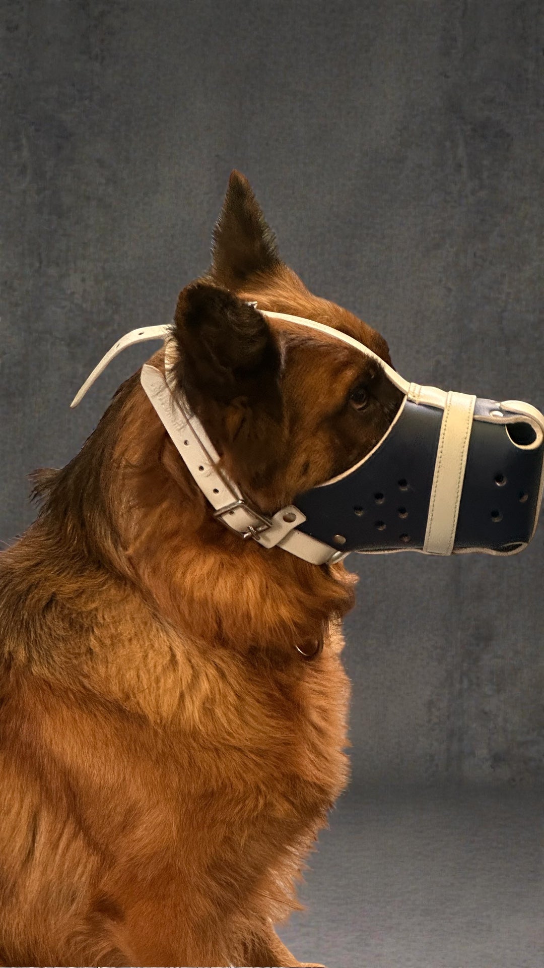 K9 Store Premium Navy Blue Leather Dog Muzzle with Adjustable Straps