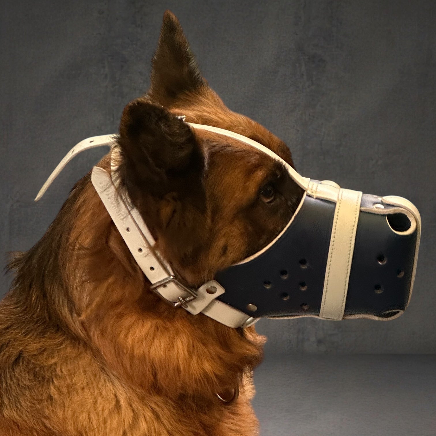 K9 Store Premium Navy Blue Leather Dog Muzzle with Adjustable Straps